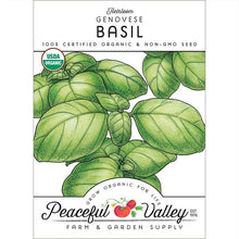 Load image into Gallery viewer, Genovese Basil Seeds (Organic)