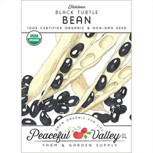 Load image into Gallery viewer, Black Turtle Bush Bean Seeds (Organic)