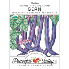 Load image into Gallery viewer, Royalty Purple Pod Bush Bean Seeds (Organic)