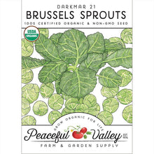Load image into Gallery viewer, Darkmar 21 Brussels Sprouts Seeds (Organic)