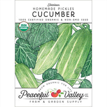 Load image into Gallery viewer, Homemade Pickles Cucumber Seeds (Organic)
