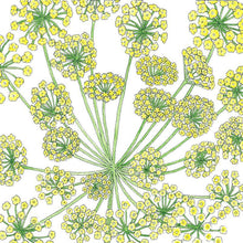 Load image into Gallery viewer, Mammoth Dill Seeds (Organic)