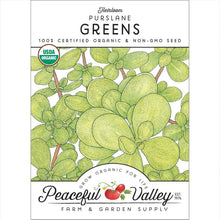 Load image into Gallery viewer, Purslane Greens Seeds (Organic)