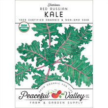 Load image into Gallery viewer, Red Russian Kale Seeds (Organic)
