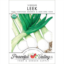 Load image into Gallery viewer, Varna Leek Seeds (Organic)