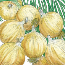 Load image into Gallery viewer, Cortland Onion Seeds (Organic)