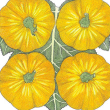Load image into Gallery viewer, Jack Be Little Pumpkin Seeds (Organic)