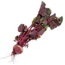 Load image into Gallery viewer, Bull's Blood Beet Seeds (Organic)