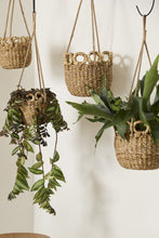 Load image into Gallery viewer, IP Verse Hanging Basket 8.5"