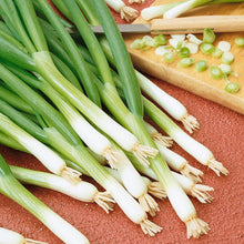 Load image into Gallery viewer, Evergreen Bunching Onion Seeds (Organic)
