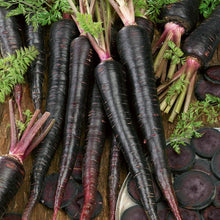 Load image into Gallery viewer, Black Nebula Carrot Seeds (Organic)
