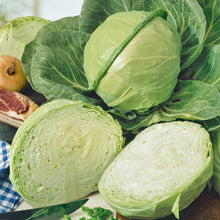 Load image into Gallery viewer, Golden Acre Cabbage Seeds (Organic)
