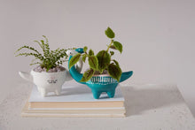 Load image into Gallery viewer, IP Dino Love Pot Set of 2
