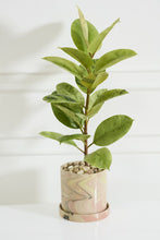 Load image into Gallery viewer, IP Melage Pot w/Saucer
