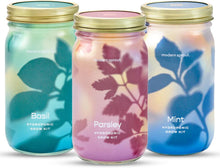 Load image into Gallery viewer, Garden Jars - Organic Herbs

