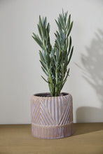 Load image into Gallery viewer, IP Refresh Pot 7.75"- Lt Purple
