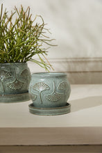 Load image into Gallery viewer, IP Biloba Pot w/Saucer
