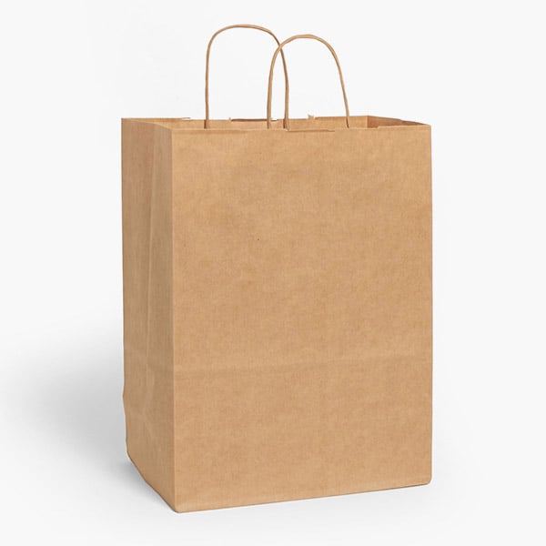 XMAS Kraft Brown Gift Bag- MED