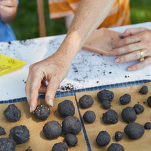 Load image into Gallery viewer, Seed Ball Kits
