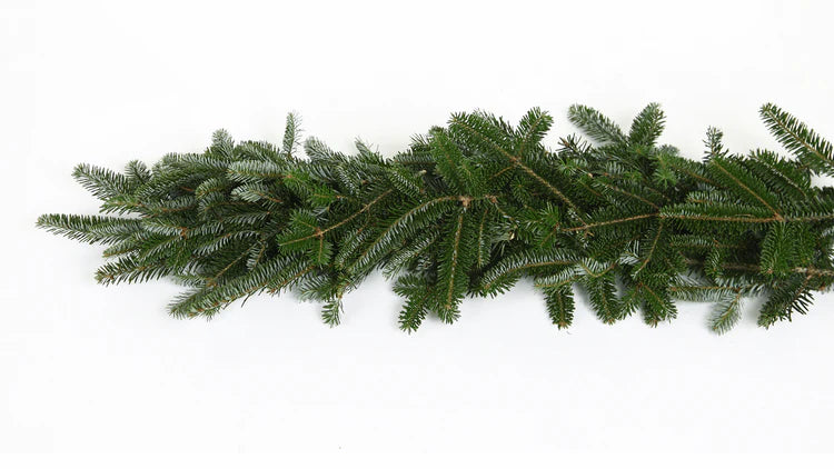 XMAS 25ft Fraser Fir Garland- Heavy Grade