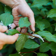 Load image into Gallery viewer, Gardening Shears &amp; Pruners
