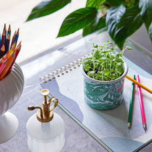 Load image into Gallery viewer, Altered Herb Mug Grow Kits
