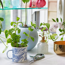 Load image into Gallery viewer, Altered Herb Mug Grow Kits
