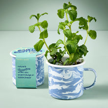 Load image into Gallery viewer, Altered Herb Mug Grow Kits
