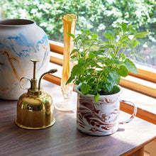 Load image into Gallery viewer, Altered Herb Mug Grow Kits
