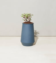 Load image into Gallery viewer, Tapered Tumbler Grow Kits
