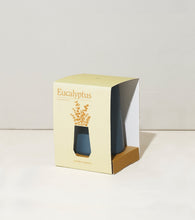 Load image into Gallery viewer, Tapered Tumbler Grow Kits
