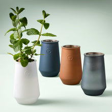 Load image into Gallery viewer, Tapered Tumbler Grow Kits
