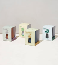 Load image into Gallery viewer, Tapered Tumbler Grow Kits
