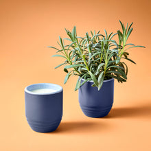 Load image into Gallery viewer, Garden Vibes Candle/Planter 2-in-1
