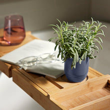 Load image into Gallery viewer, Garden Vibes Candle/Planter 2-in-1
