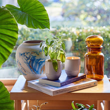 Load image into Gallery viewer, Garden Vibes Candle/Planter 2-in-1
