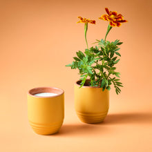 Load image into Gallery viewer, Garden Vibes Candle/Planter 2-in-1
