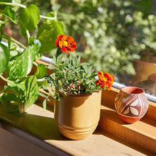 Load image into Gallery viewer, Garden Vibes Candle/Planter 2-in-1
