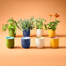 Load image into Gallery viewer, Garden Vibes Candle/Planter 2-in-1
