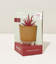 Load image into Gallery viewer, Glow &amp; Grow Kits
