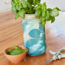 Load image into Gallery viewer, Garden Jars - Organic Herbs
