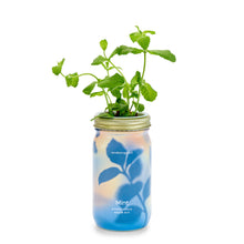 Load image into Gallery viewer, Garden Jars - Organic Herbs
