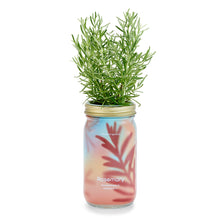 Load image into Gallery viewer, Garden Jars - Organic Herbs

