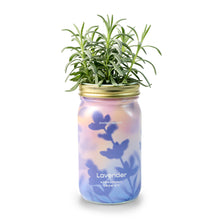 Load image into Gallery viewer, Garden Jars - Organic Herbs
