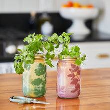 Load image into Gallery viewer, Garden Jars - Organic Herbs
