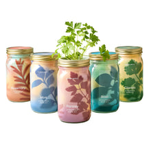 Load image into Gallery viewer, Garden Jars - Organic Herbs

