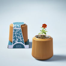 Load image into Gallery viewer, Flower Grow Kits

