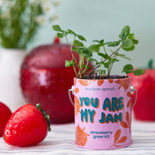 Load image into Gallery viewer, Complimentary Colors Grow Kits
