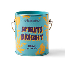 Load image into Gallery viewer, Complimentary Colors Grow Kits
