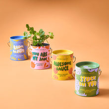 Load image into Gallery viewer, Complimentary Colors Grow Kits
